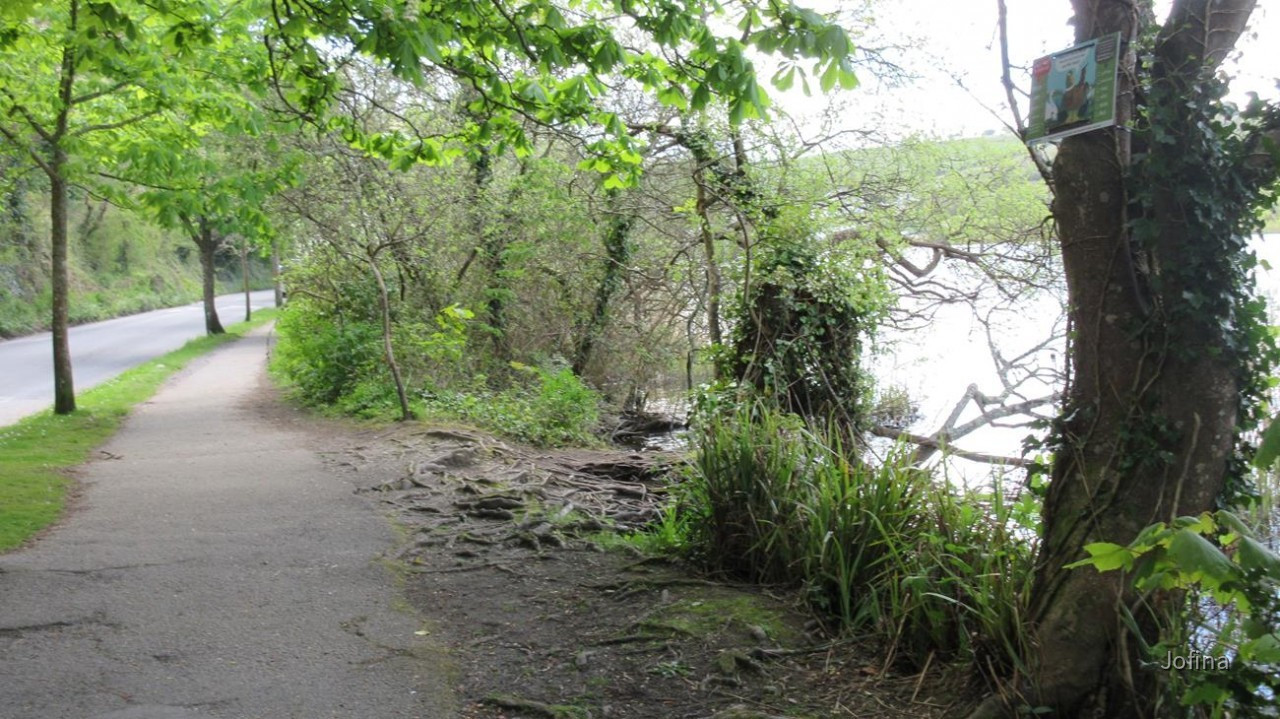 Falmouth_39