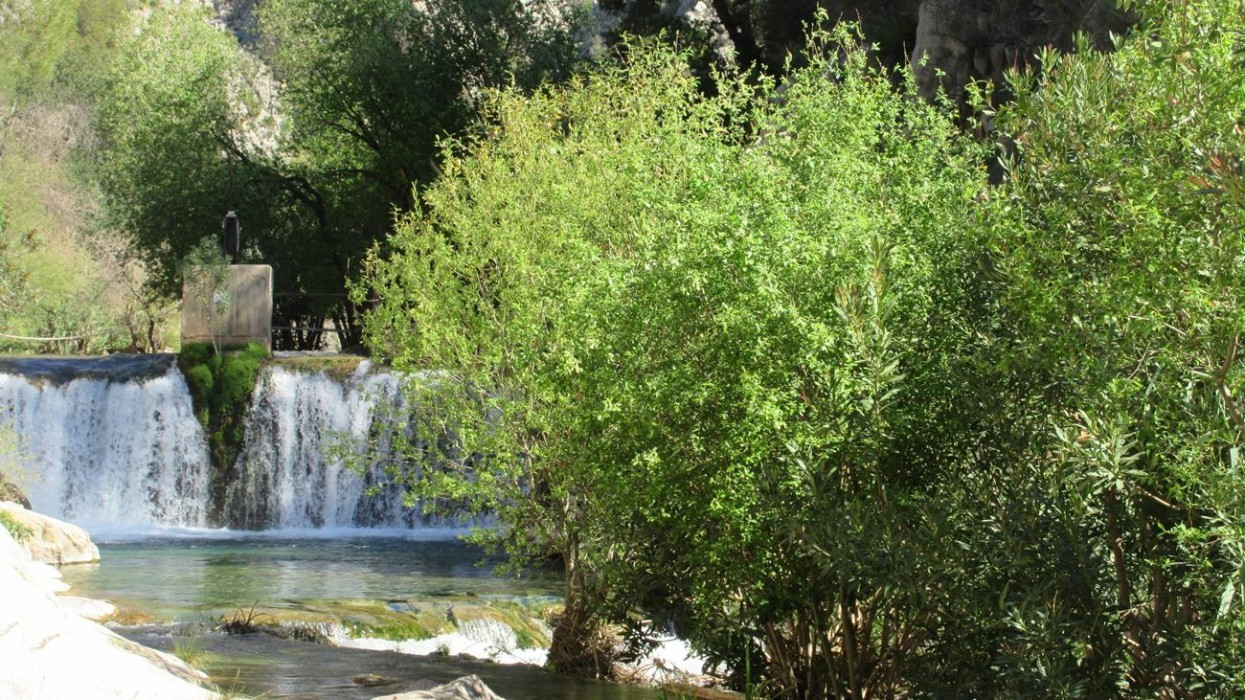 Fluß_Algar_06