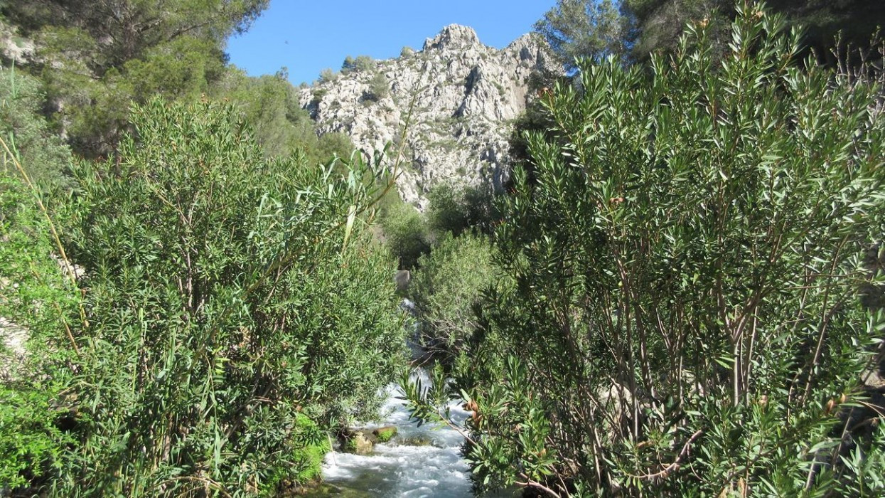 Fluß_Algar_07