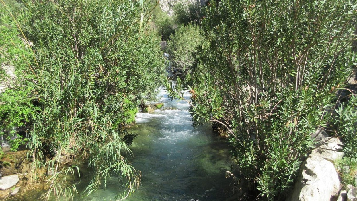 Fluß_Algar_08