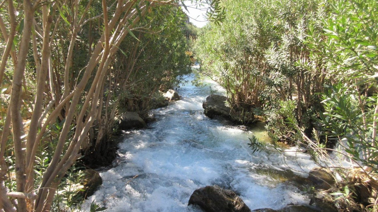 Fluß_Algar_09