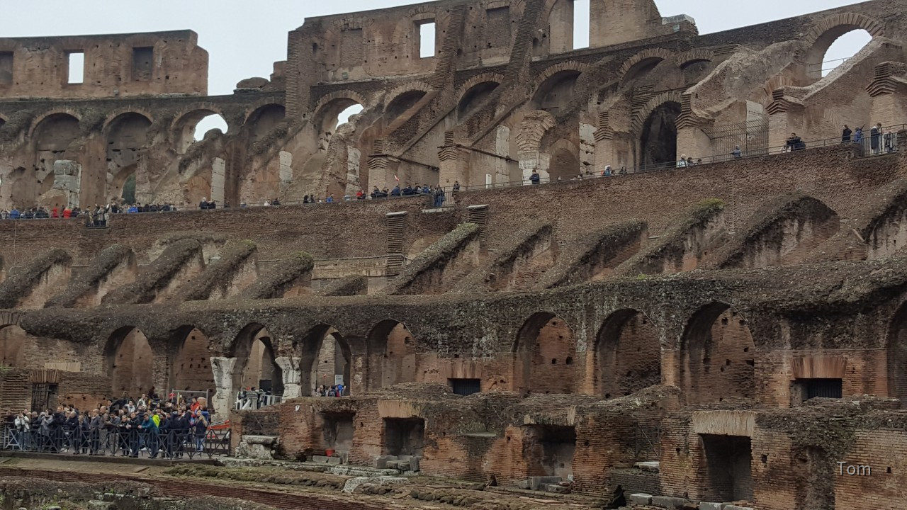 Colloseum