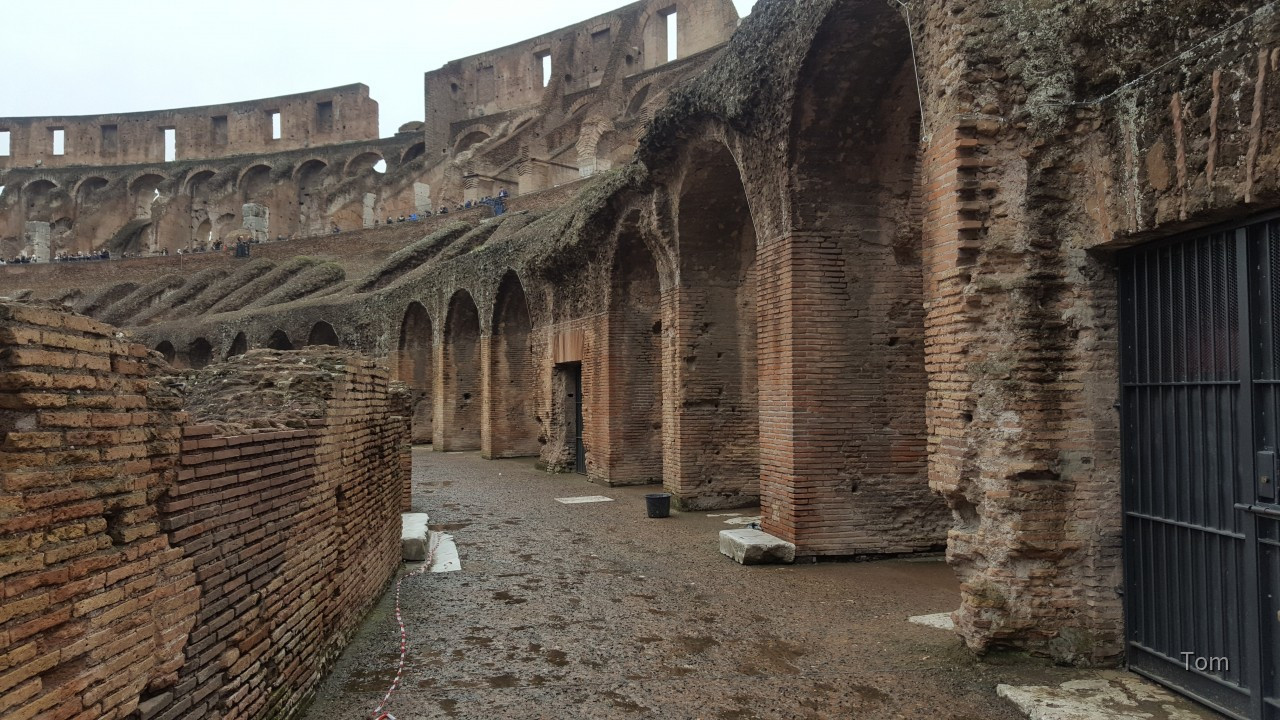 Colloseum