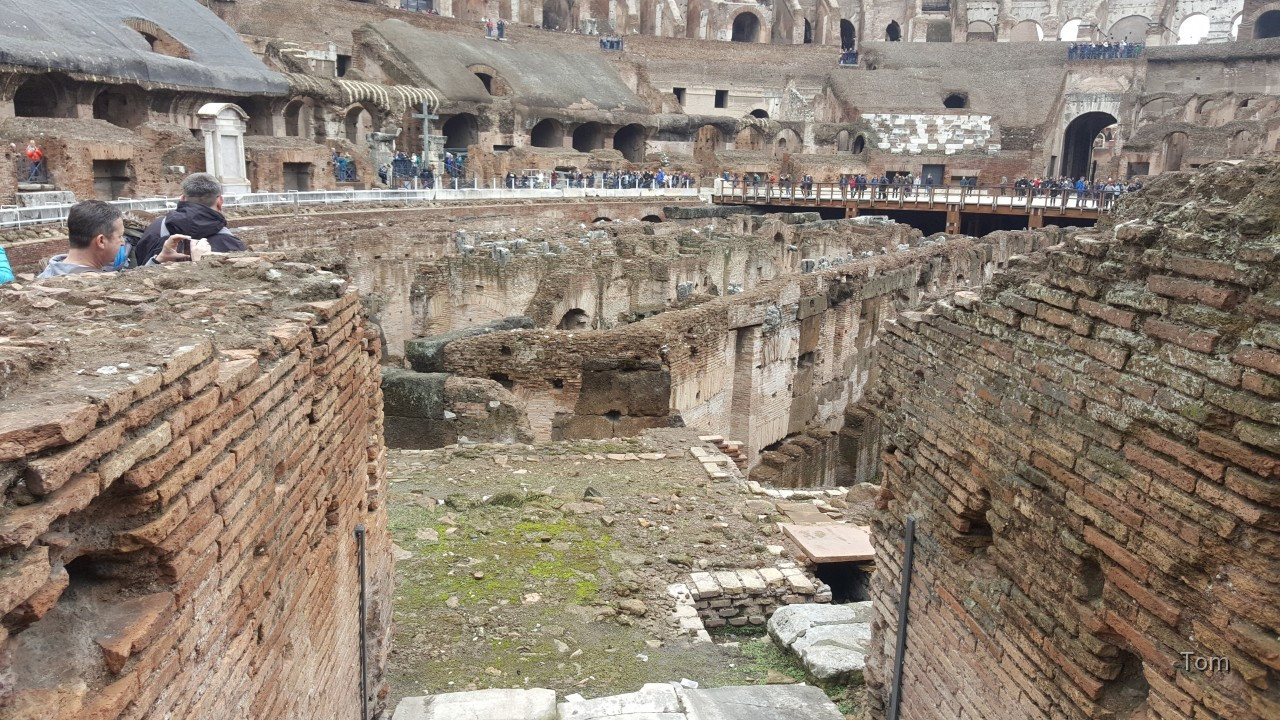 Colloseum