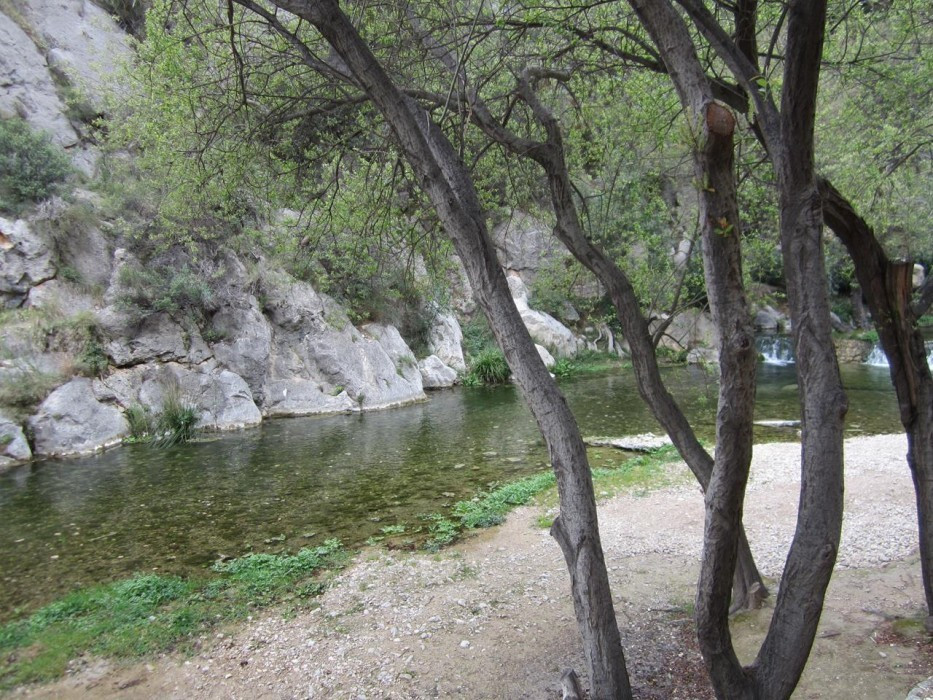 Fluß_Algar_13