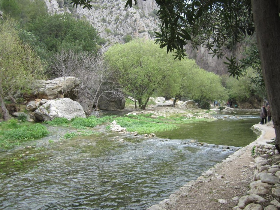 Fluß_Algar_14