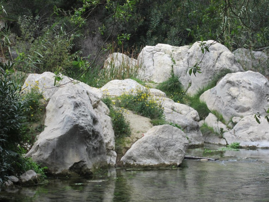 Fluß_Algar_17