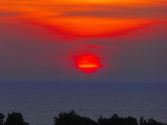 Mljet