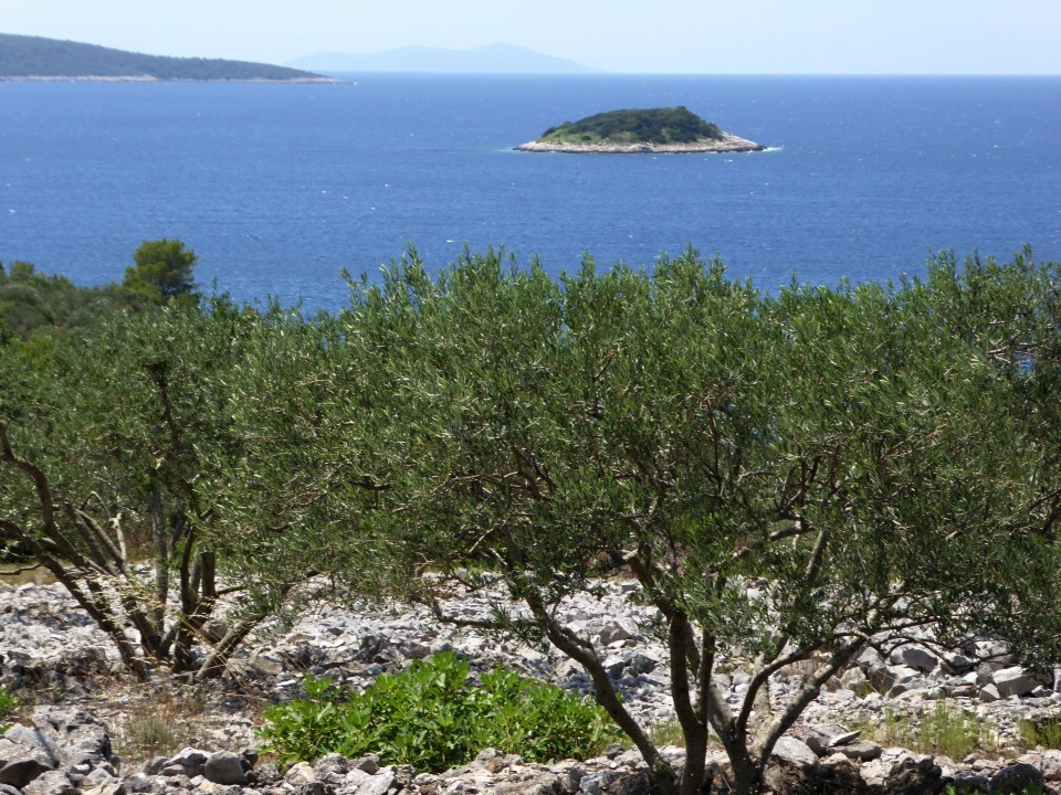 P1040430a