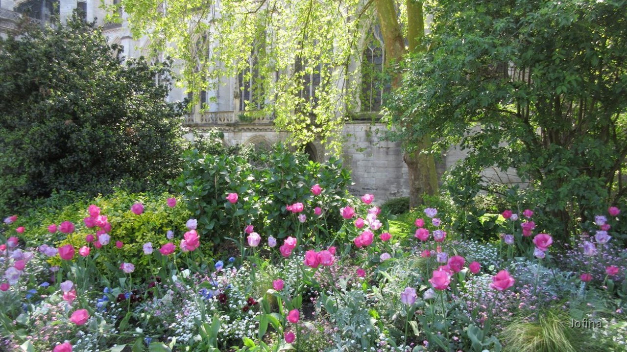 Rouen_43