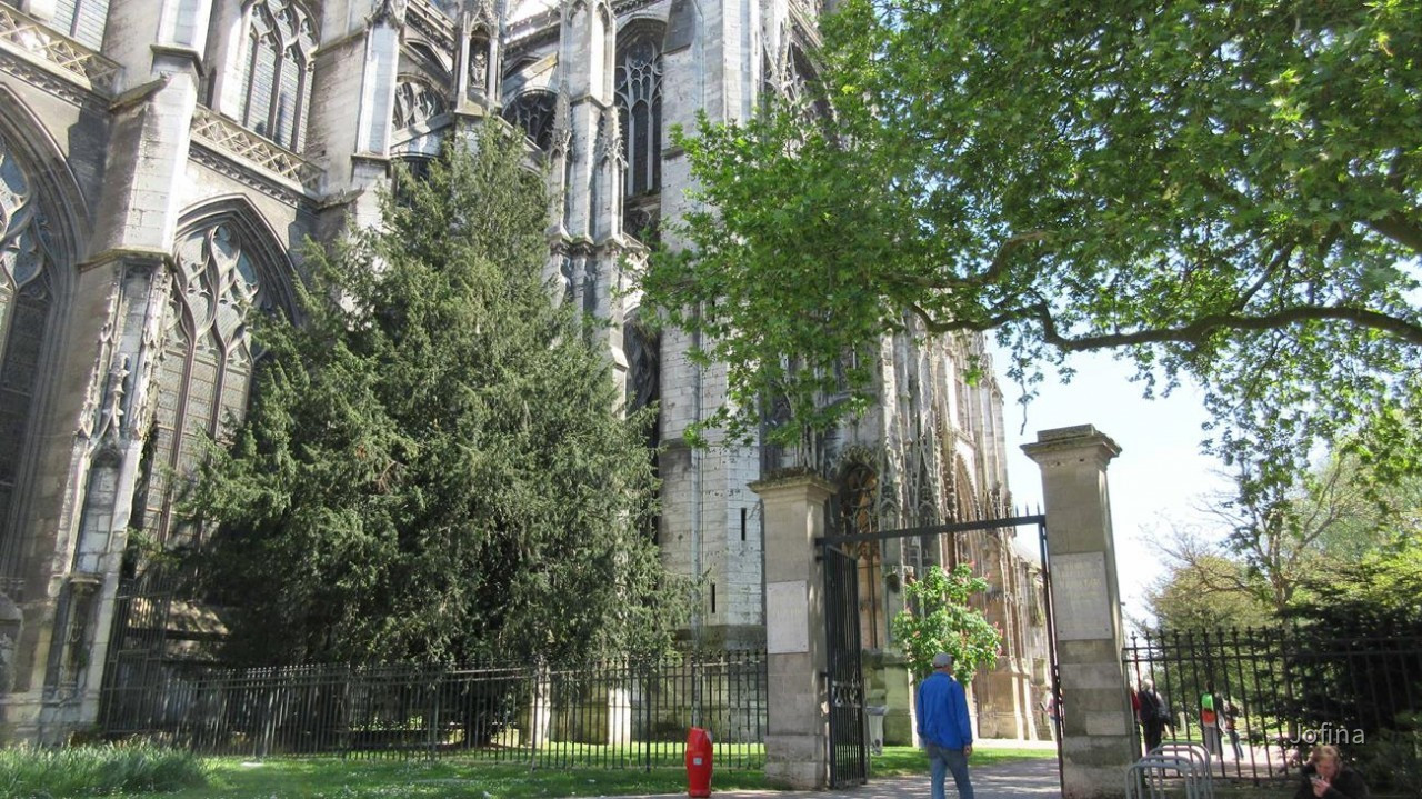 Rouen_47