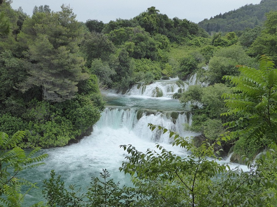 Krka