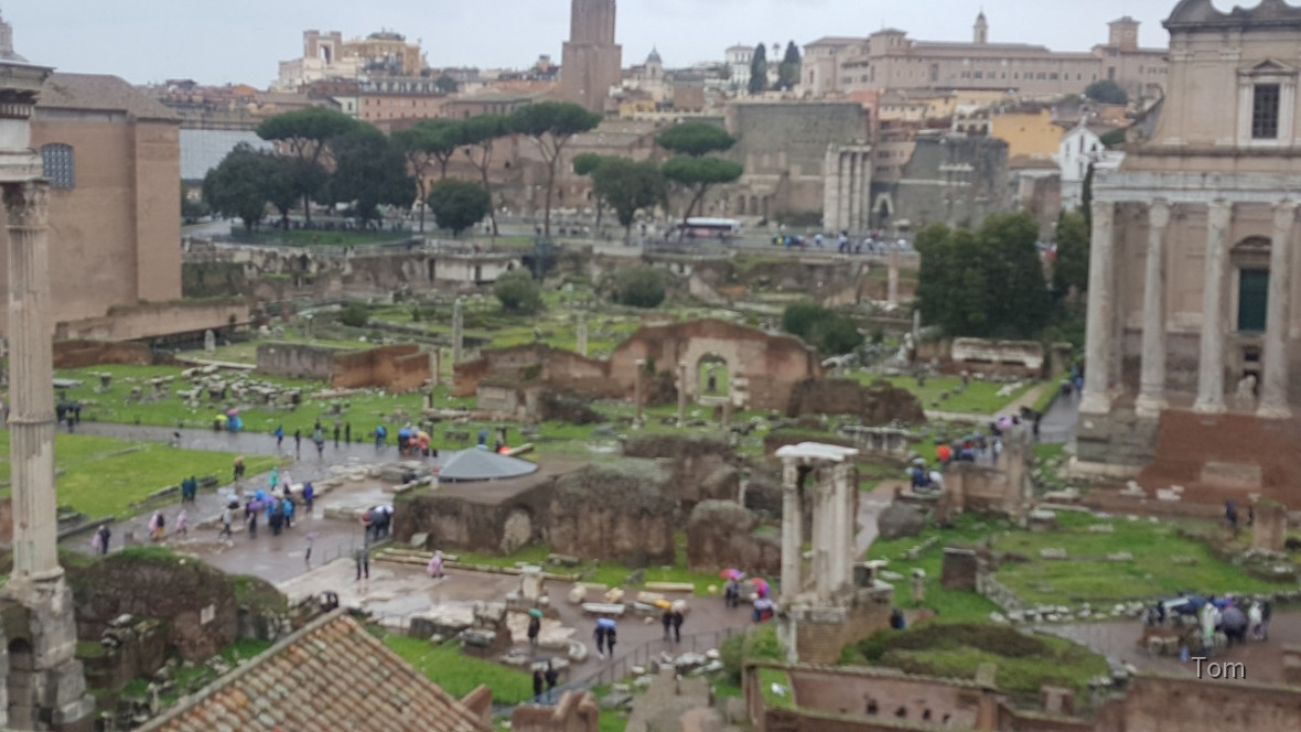 Forum_Romanum (29)