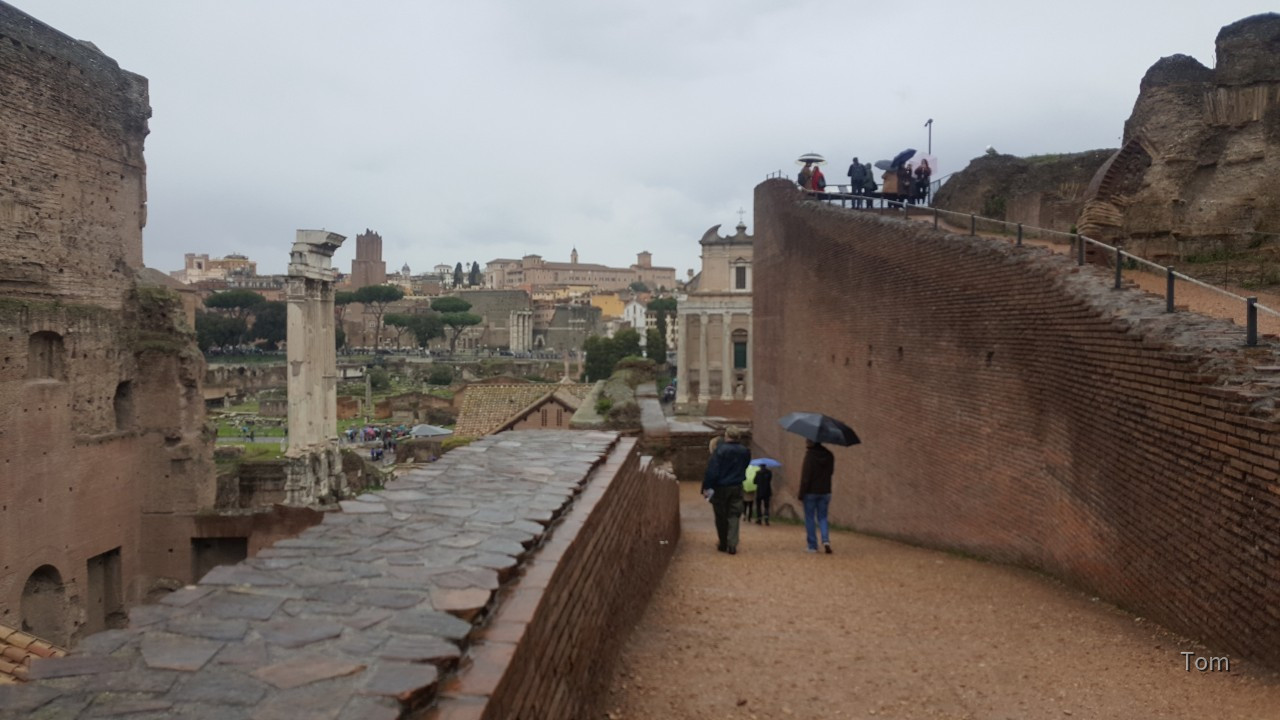 Forum_Romanum (24)