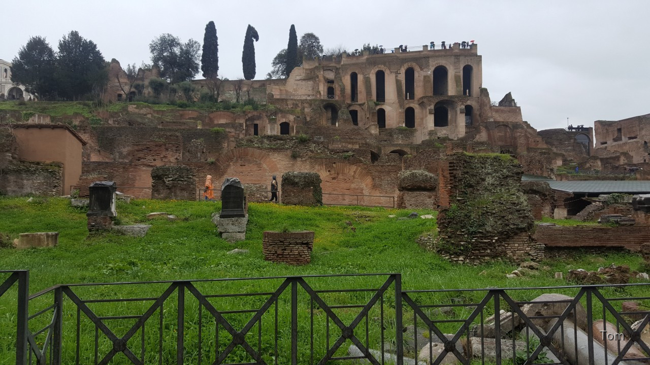 Forum_Romanum (52)