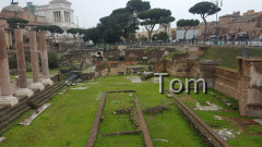 Forum_Romanum (76)