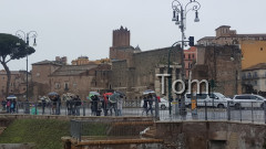Forum_Romanum (77)