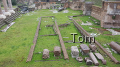 Forum_Romanum (75)