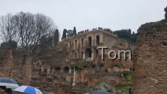 Forum_Romanum (72)
