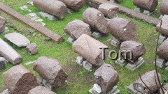 Forum_Romanum (78)