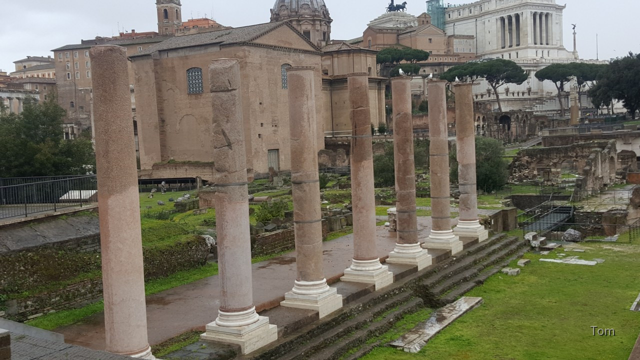 Forum_Romanum (79)