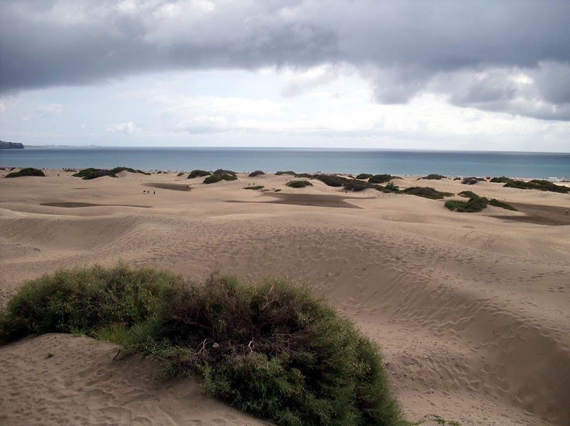 Dünenlandschaft