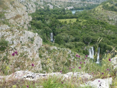 Manojlovac (10)