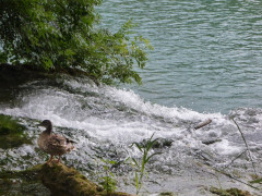 09 Skradinski Buk (11)