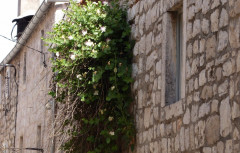 09 Mali Ston  (18)
