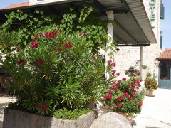 16 Mali Ston  (6)
