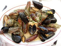 Muscheln und Austern