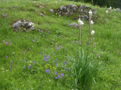 Von der Drina ins Durmitor (22)