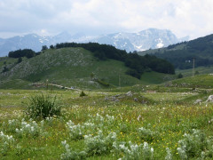 Von der Drina ins Durmitor (26)