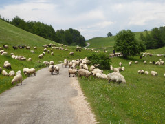 Von der Drina ins Durmitor (56)