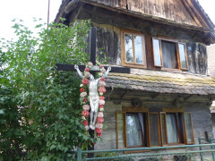 Cigoc (3)