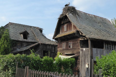 Cigoc (10)