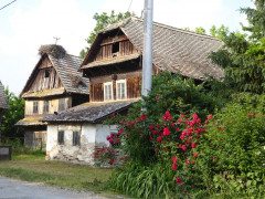 Cigoc (19)
