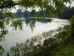 Muzilovica (0)