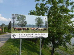 Muzilovica (3)