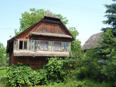 Muzilovica (21)
