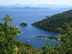 Mljet