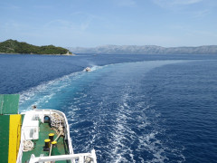 Mljet