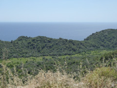 Mljet