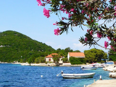 Mljet