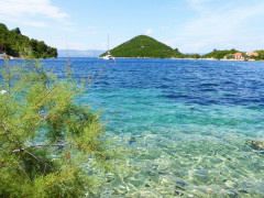 Mljet