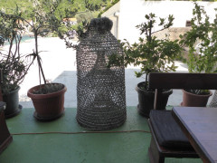 Mljet