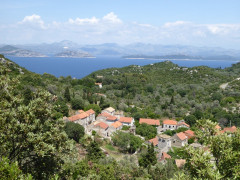 Mljet