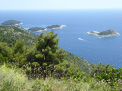 Mljet