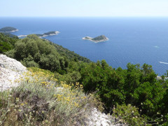 Mljet