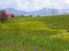 Von der Drina ins Durmitor (30)